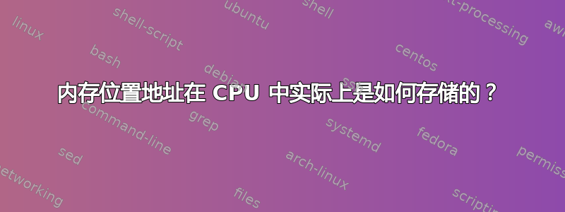 内存位置地址在 CPU 中实际上是如何存储的？