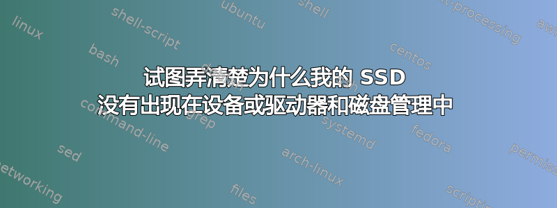 试图弄清楚为什么我的 SSD 没有出现在设备或驱动器和磁盘管理中