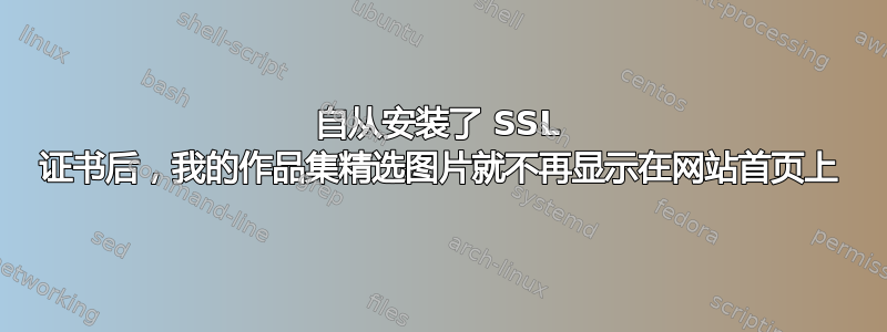 自从安装了 SSL 证书后，我的作品集精选图片就不再显示在网站首页上