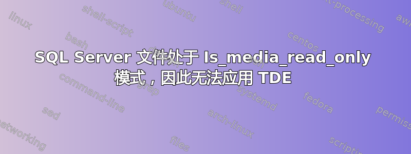 SQL Server 文件处于 Is_media_read_only 模式，因此无法应用 TDE