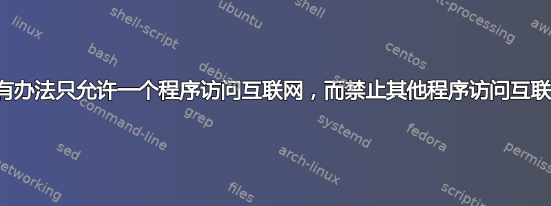 有没有办法只允许一个程序访问互联网，而禁止其他程序访问互联网？