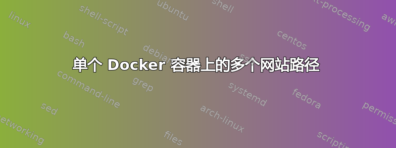 单个 Docker 容器上的多个网站路径