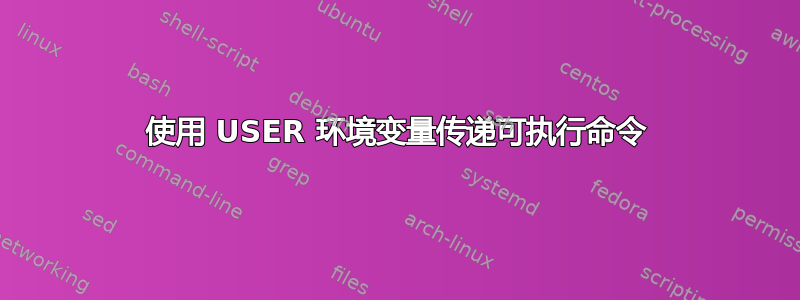 使用 USER 环境变量传递可执行命令