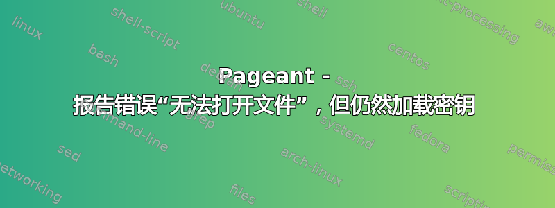 Pageant - 报告错误“无法打开文件”，但仍然加载密钥