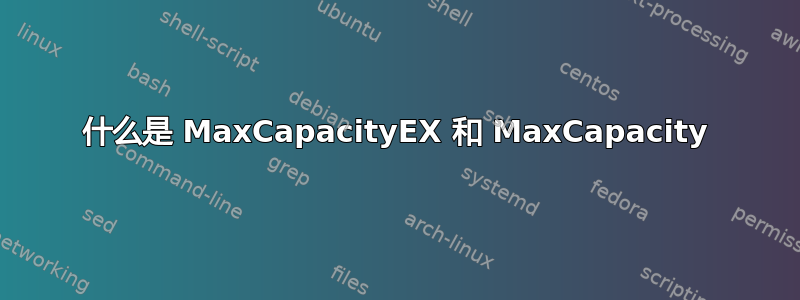 什么是 MaxCapacityEX 和 MaxCapacity