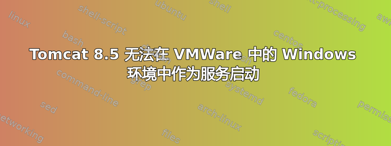 Tomcat 8.5 无法在 VMWare 中的 Windows 环境中作为服务启动