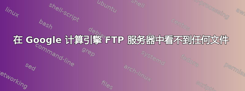 在 Google 计算引擎 FTP 服务器中看不到任何文件
