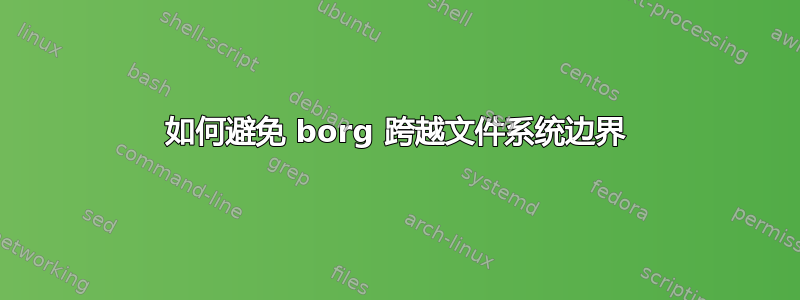 如何避免 borg 跨越文件系统边界