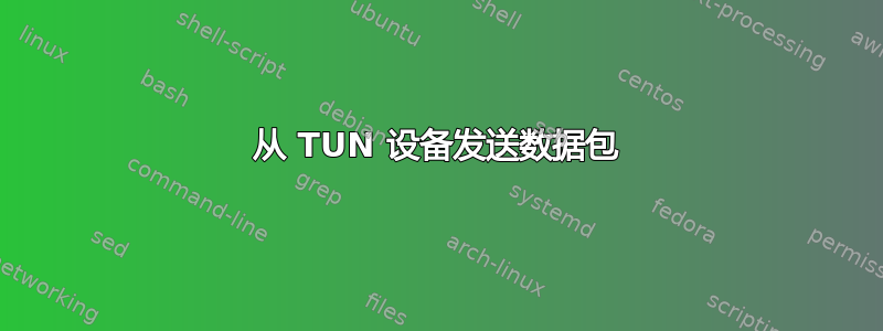 从 TUN 设备发送数据包