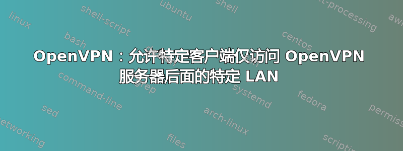 OpenVPN：允许特定客户端仅访问 OpenVPN 服务器后面的特定 LAN