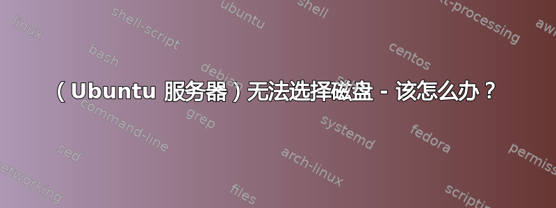 （Ubuntu 服务器）无法选择磁盘 - 该怎么办？