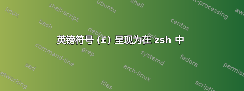 英镑符号 (£) 呈现为在 zsh 中