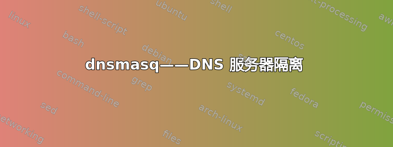 dnsmasq——DNS 服务器隔离