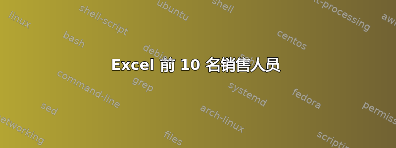 Excel 前 10 名销售人员