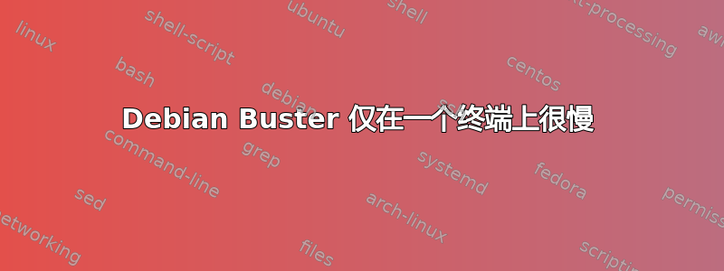Debian Buster 仅在一个终端上很慢