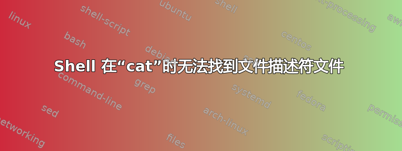 Shell 在“cat”时无法找到文件描述符文件