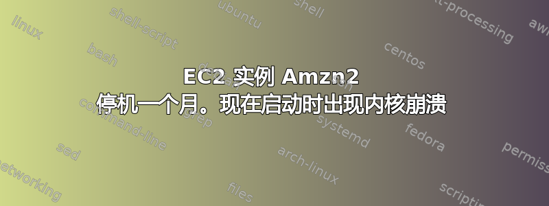 EC2 实例 Amzn2 停机一个月。现在启动时出现内核崩溃