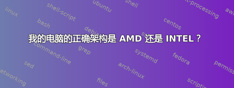 我的电脑的正确架构是 AMD 还是 INTEL？