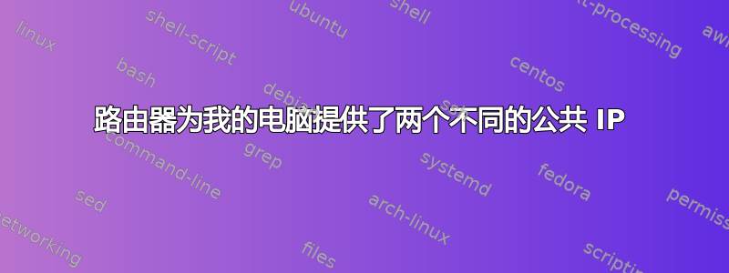 路由器为我的电脑提供了两个不同的公共 IP