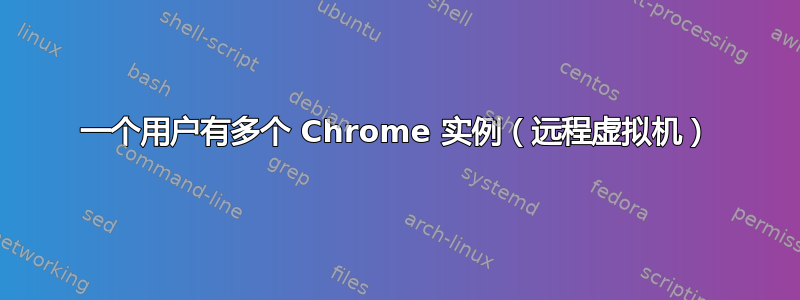 一个用户有多个 Chrome 实例（远程虚拟机）