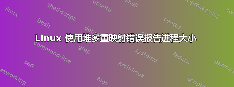 Linux 使用堆多重映射错误报告进程大小