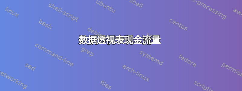 数据透视表现金流量