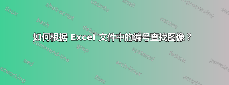 如何根据 Excel 文件中的编号查找图像？