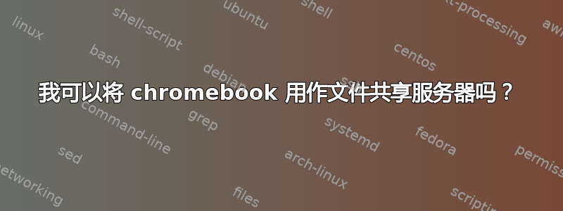 我可以将 chromebook 用作文件共享服务器吗？