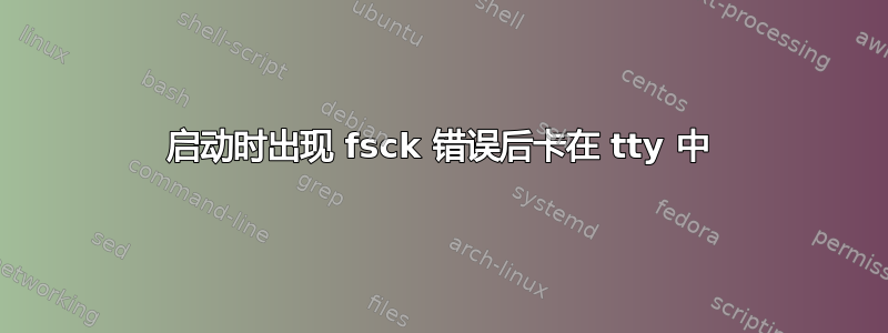 启动时出现 fsck 错误后卡在 tty 中