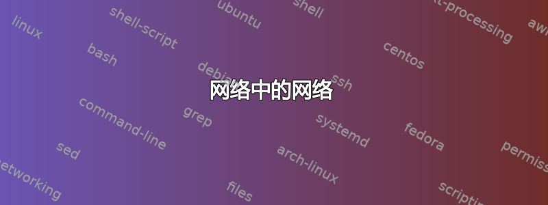 网络中的网络