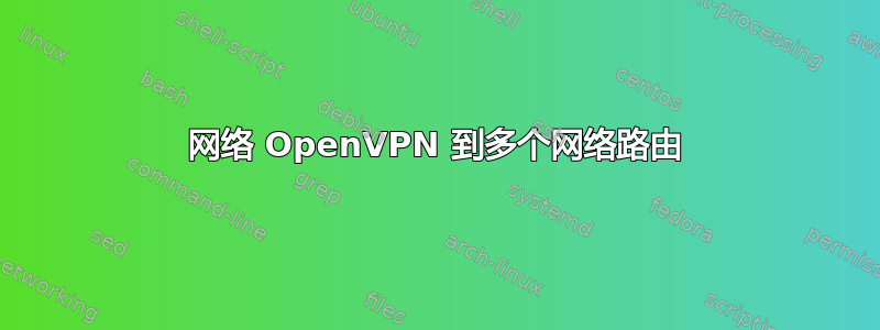 网络 OpenVPN 到多个网络路由