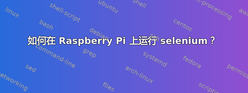 如何在 Raspberry Pi 上运行 selenium？