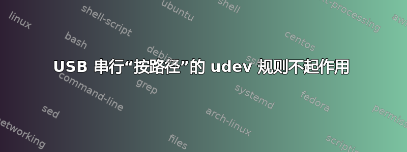 USB 串行“按路径”的 udev 规则不起作用