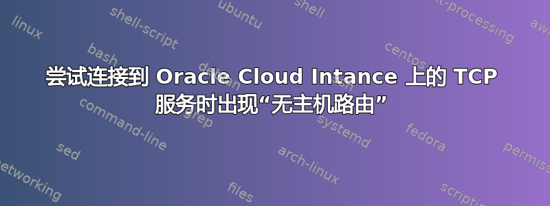 尝试连接到 Oracle Cloud Intance 上的 TCP 服务时出现“无主机路由”