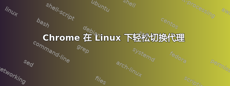 Chrome 在 Linux 下轻松切换代理