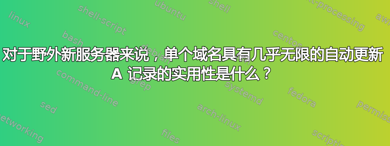 对于野外新服务器来说，单个域名具有几乎无限的自动更新 A 记录的实用性是什么？