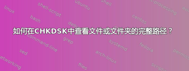 如何在CHKDSK中查看文件或文件夹的完整路径？