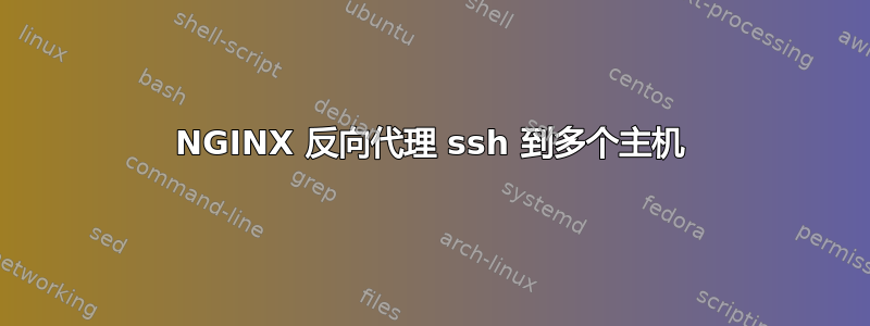 NGINX 反向代理 ssh 到多个主机
