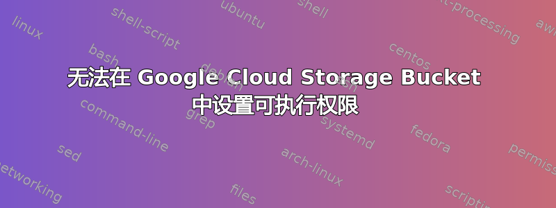无法在 Google Cloud Storage Bucket 中设置可执行权限
