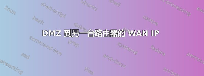 DMZ 到另一台路由器的 WAN IP