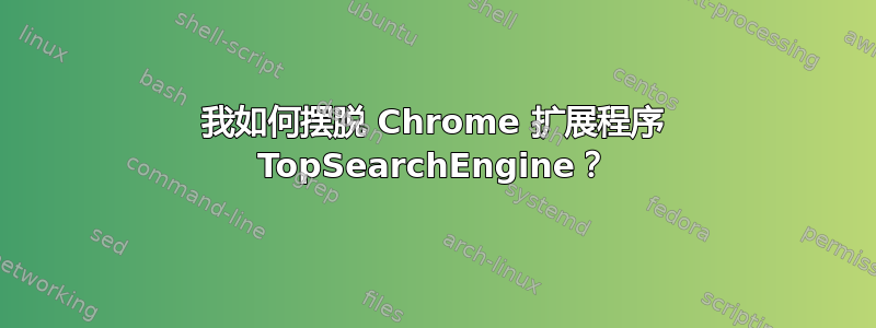 我如何摆脱 Chrome 扩展程序 TopSearchEngine？