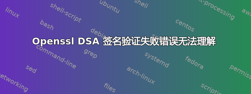 Openssl DSA 签名验证失败错误无法理解