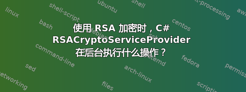 使用 RSA 加密时，C# RSACryptoServiceProvider 在后台执行什么操作？