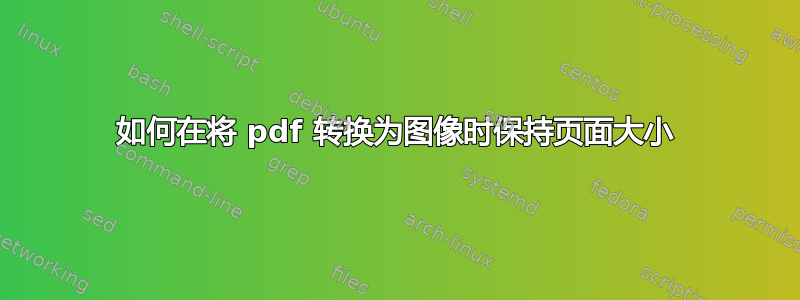 如何在将 pdf 转换为图像时保持页面大小