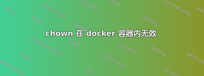 chown 在 docker 容器内无效