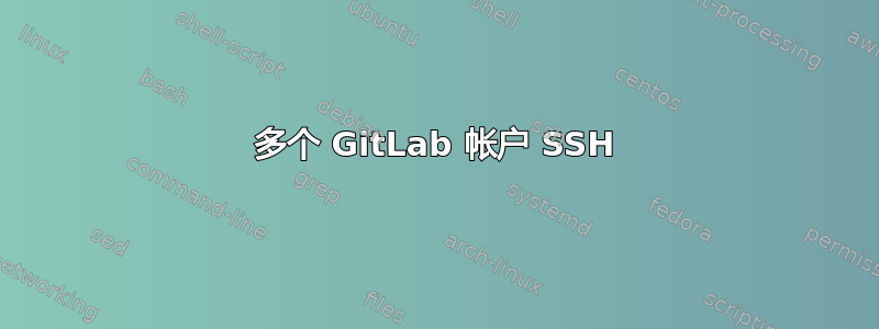 多个 GitLab 帐户 SSH