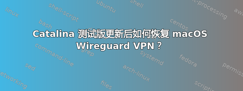 Catalina 测试版更新后如何恢复 macOS Wireguard VPN？