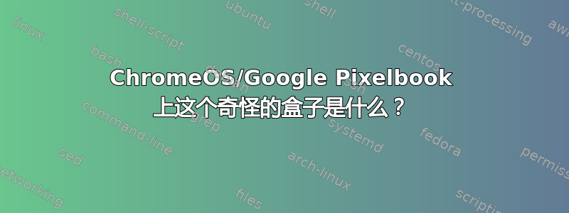 ChromeOS/Google Pixelbook 上这个奇怪的盒子是什么？