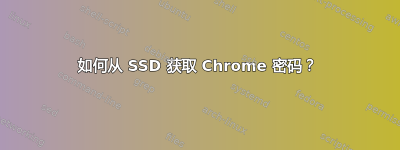 如何从 SSD 获取 Chrome 密码？