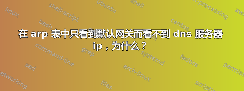 在 arp 表中只看到默认网关而看不到 dns 服务器 ip，为什么？